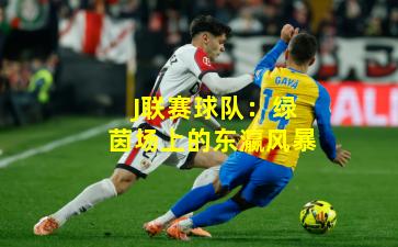 J联赛球队:绿茵场上的东瀛风暴