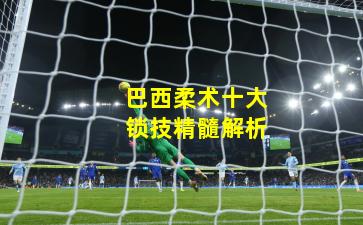 巴西柔术十大锁技精髓解析