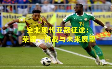 全北现代亚冠征途：荣耀、挑战与未来展望